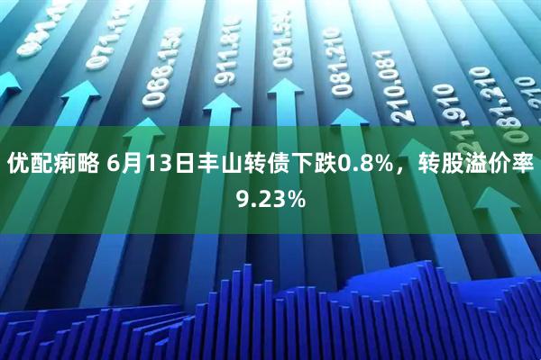 优配痢略 6月13日丰山转债下跌0.8%，转股溢价率9.23%