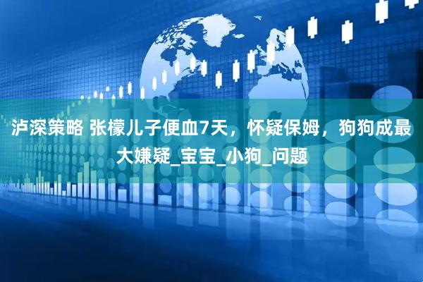 泸深策略 张檬儿子便血7天，怀疑保姆，狗狗成最大嫌疑_宝宝_小狗_问题