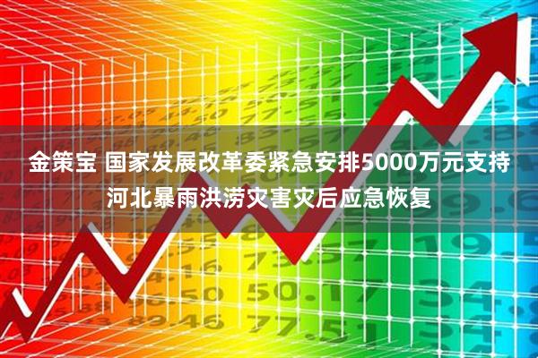 金策宝 国家发展改革委紧急安排5000万元支持河北暴雨洪涝灾害灾后应急恢复