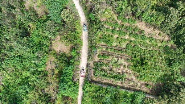 华盈策略 枣庄：千亩板栗丰产 产销两旺助振兴